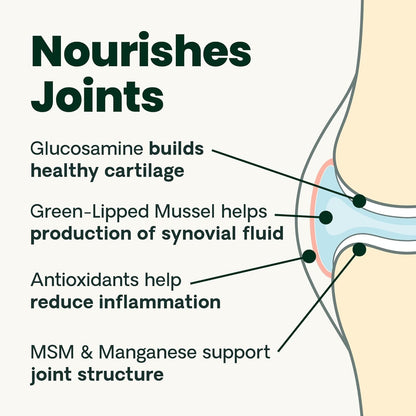 Ultimate Strength Healthy Hip & Joint Chewable Tablets, Glycoflex Glucosamine, Chondroitin and Green-Lipped Mussel Joint Supplement for Dogs, Soothe Joint Discomfort, Chicken, 120 Count