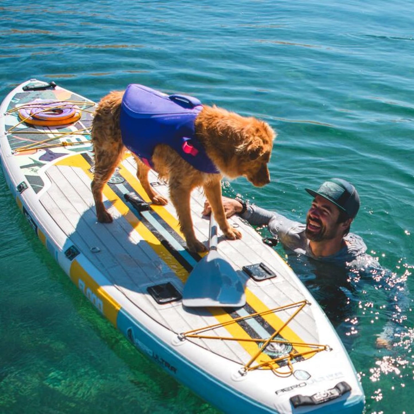 , Float Coat Dog Life Jacket, Premium Buoyancy Swim Vest with Lift Handle, Secure Fit & Reflective Trim, Adjustable Flotation for Swimming, Boating, & Outdoor Adventures, Deep Blue, Small