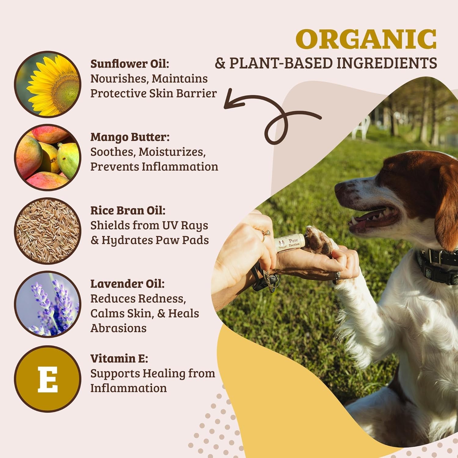 Pawtection Dog Paw Wax – Dog Paw Protection for Hot Pavement, Sand, Asphalt & Trails, Waxy Barrier Balm for Summer Walks, Hiking Days, Non-Toxic, and Lick Safe, 0.15 Oz Stick