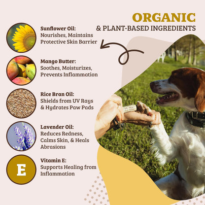Pawtection Dog Paw Wax – Dog Paw Protection for Hot Pavement, Sand, Asphalt & Trails, Waxy Barrier Balm for Summer Walks, Hiking Days, Non-Toxic, and Lick Safe, 0.15 Oz Stick